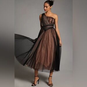 Anthropologie Tulle Dot Maxi Dress